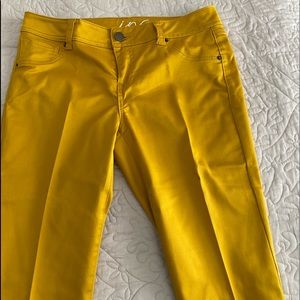 Beautiful golden yellow INC pants